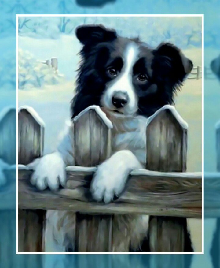 Привет! - собака зима снег - оригинал