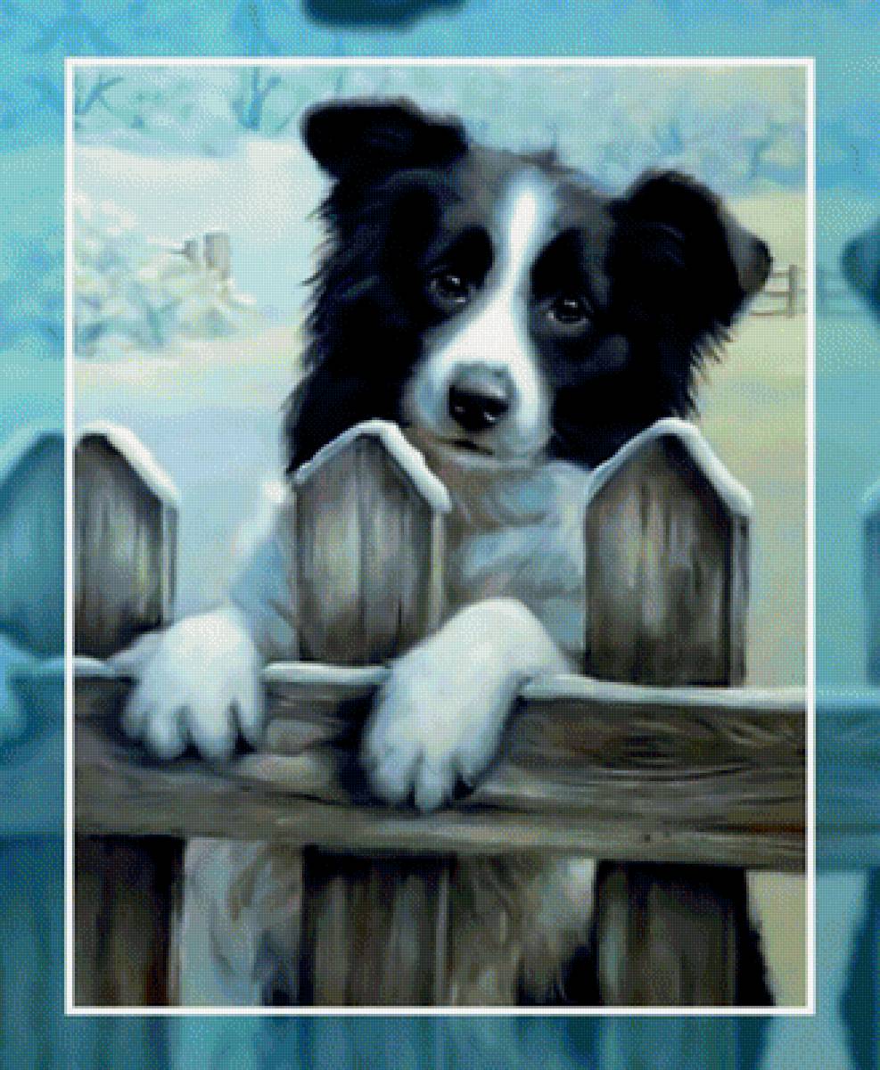 Привет! - собака зима снег - предпросмотр