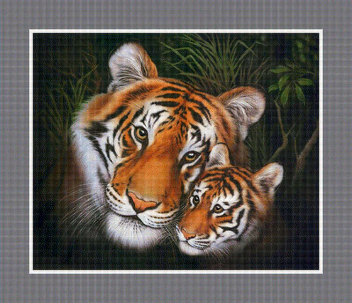 №1933154 - животные, хищники, тигры, тигр - предпросмотр