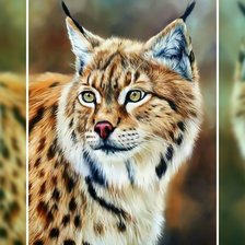 Схема вышивки «Рысь»