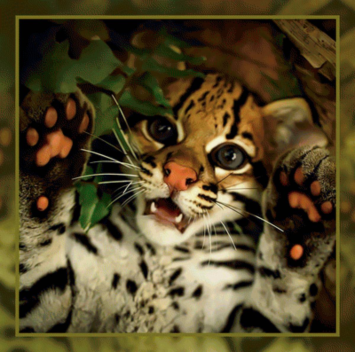 Лапы вверх! - дикий котик - предпросмотр