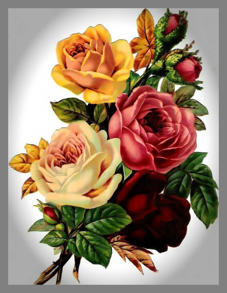 Букет цветов - цветы букет розы - оригинал