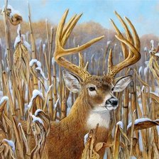 Схема вышивки «№1933573»