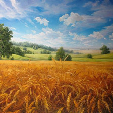 Схема вышивки «pole,»