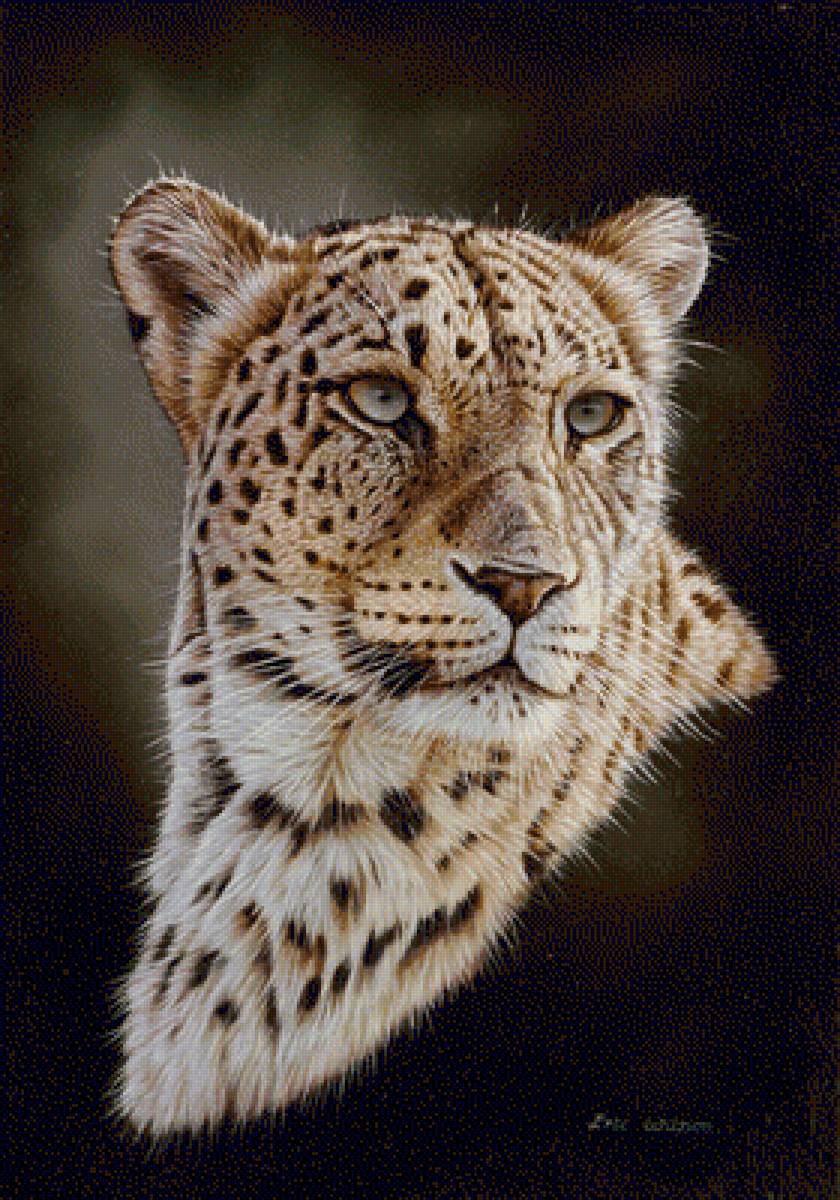 Persian Leopard Portrait. - eric wilson art.animals. - предпросмотр