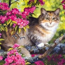 Lovely Kitten in a Tree.