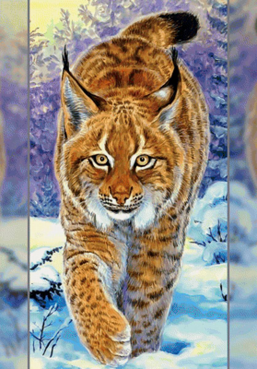 Рысь - рысь хищник зима снег - предпросмотр