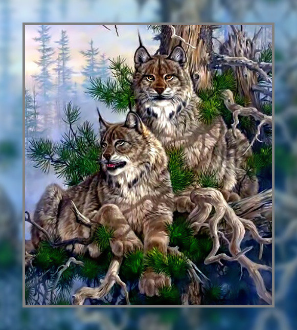 Пара. - рысь хищник природа - оригинал
