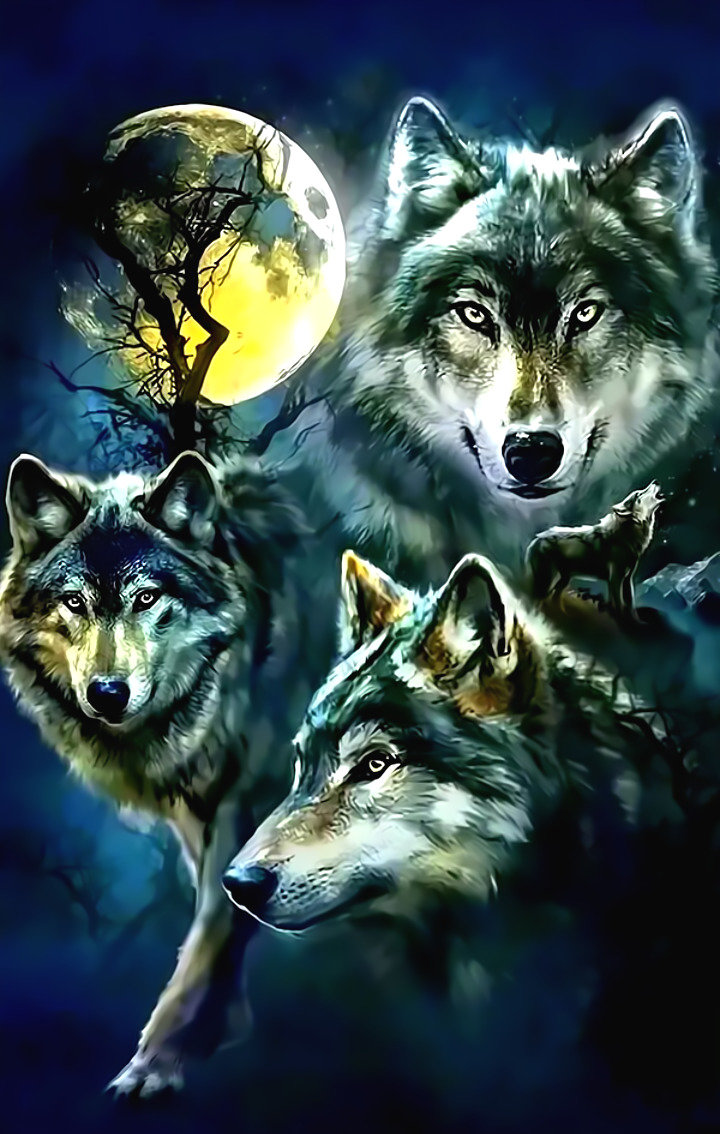 Волки. - стая волки ночь луна - оригинал