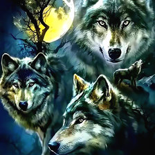 Схема вышивки «Волки.»