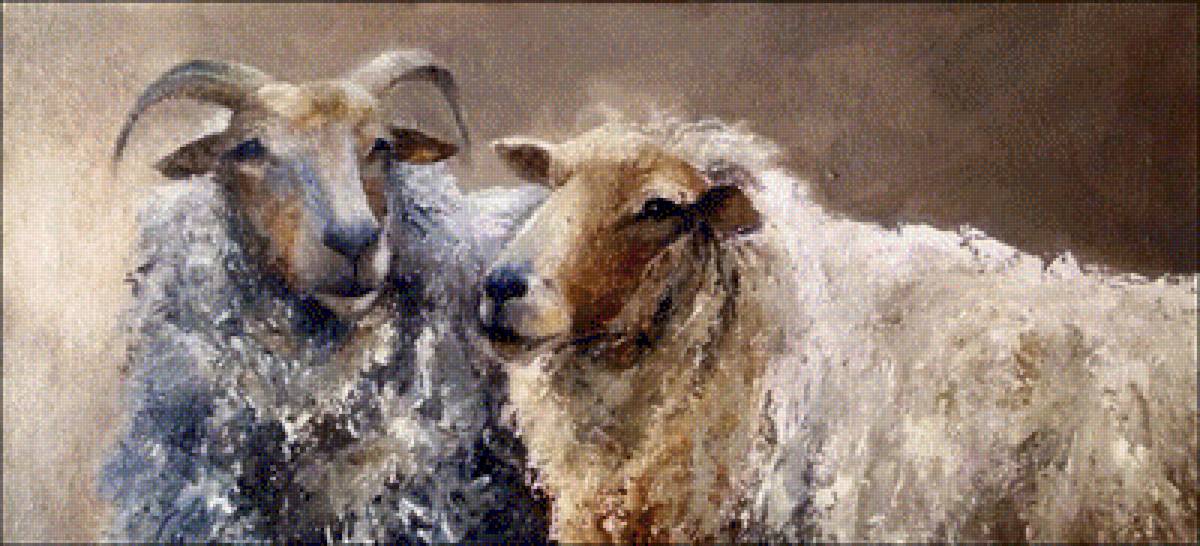 barany - предпросмотр