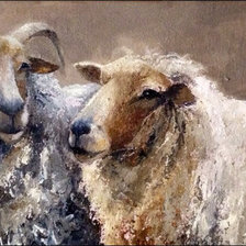 Схема вышивки «barany»