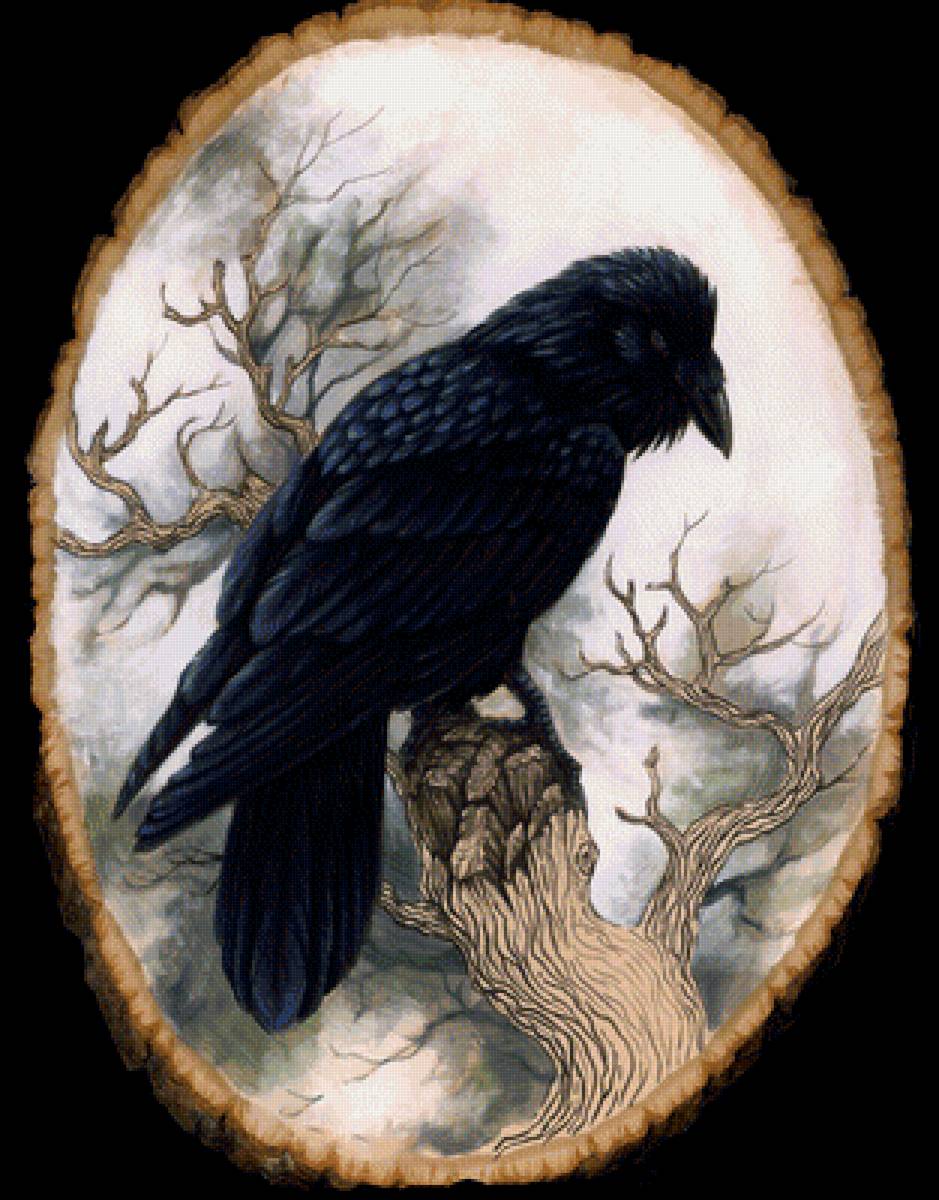 Черный ворон - черный ворон - предпросмотр