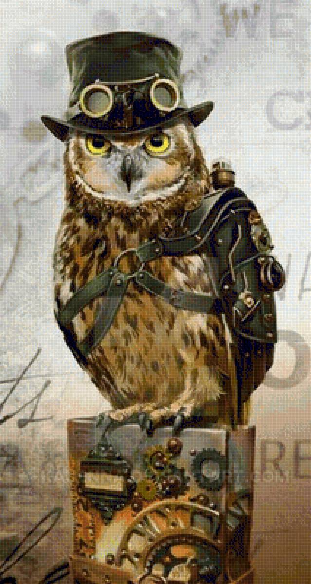 Сова - птыцы - предпросмотр