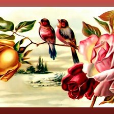 Оригинал схемы вышивки «Птички на розе.» (№1934903)
