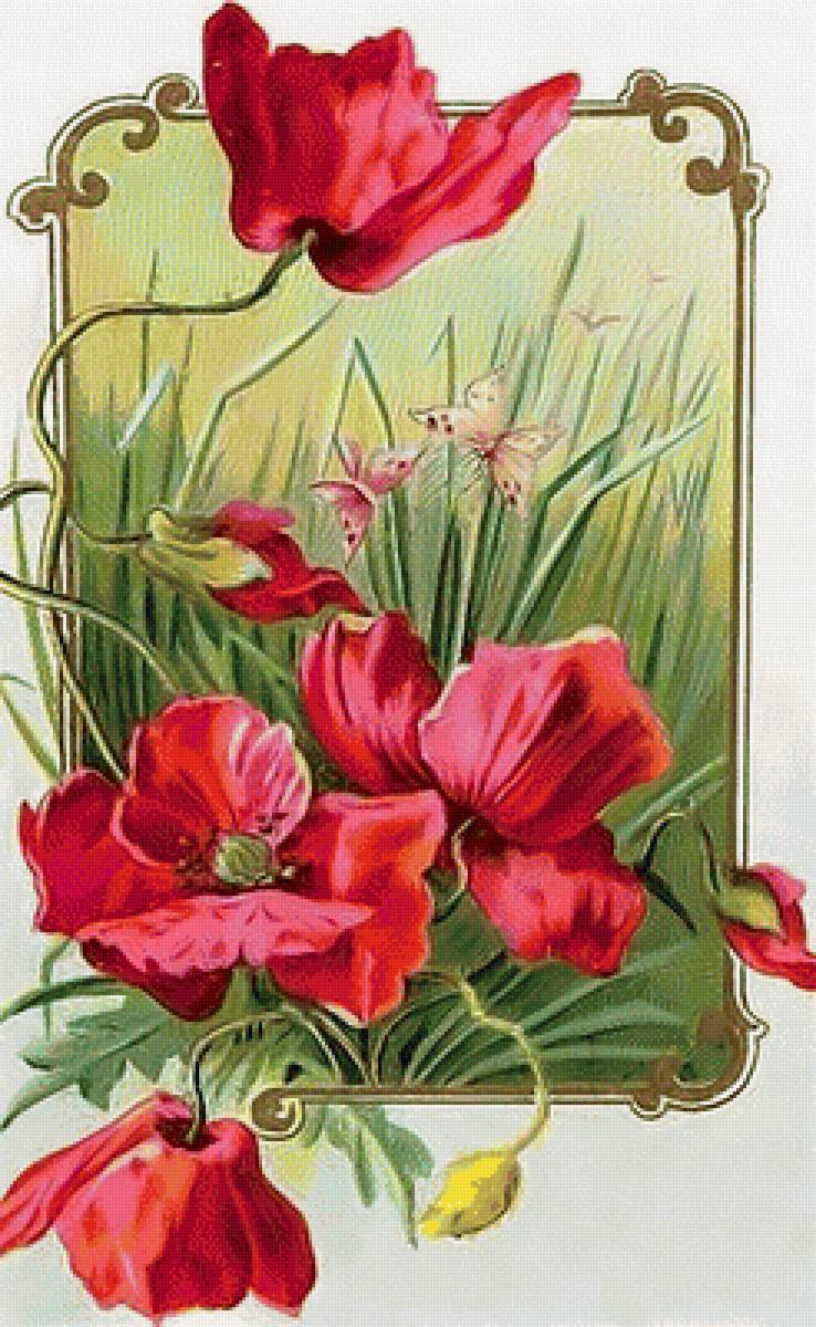 Маки. Винтаж. - красные маки - предпросмотр