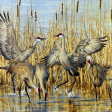 Оригинал схемы вышивки «птицы» (№1935058)