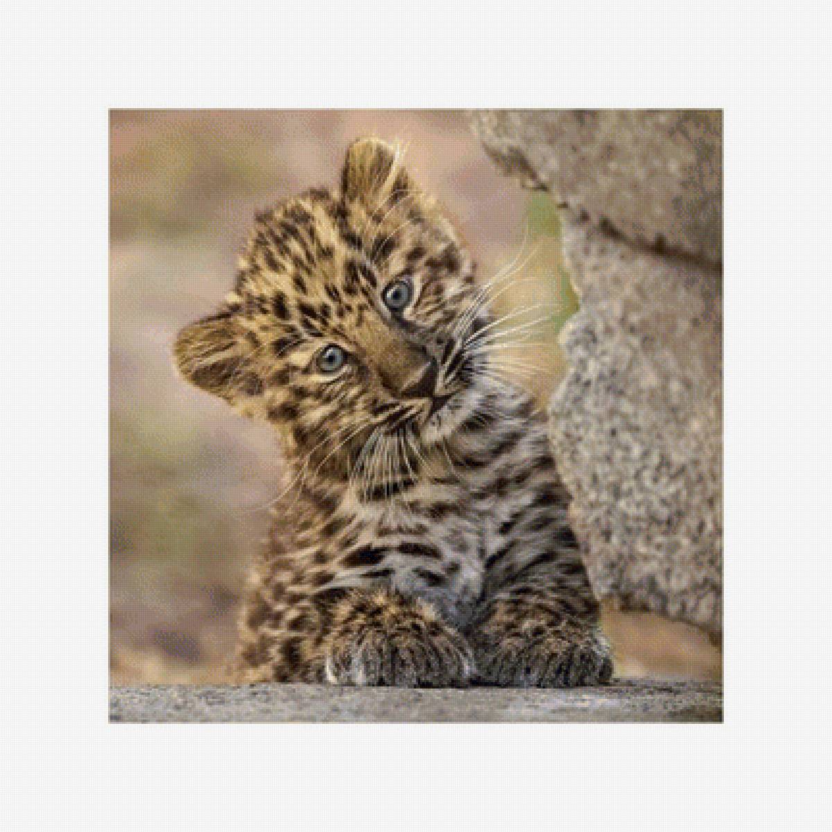 №1935073 - предпросмотр