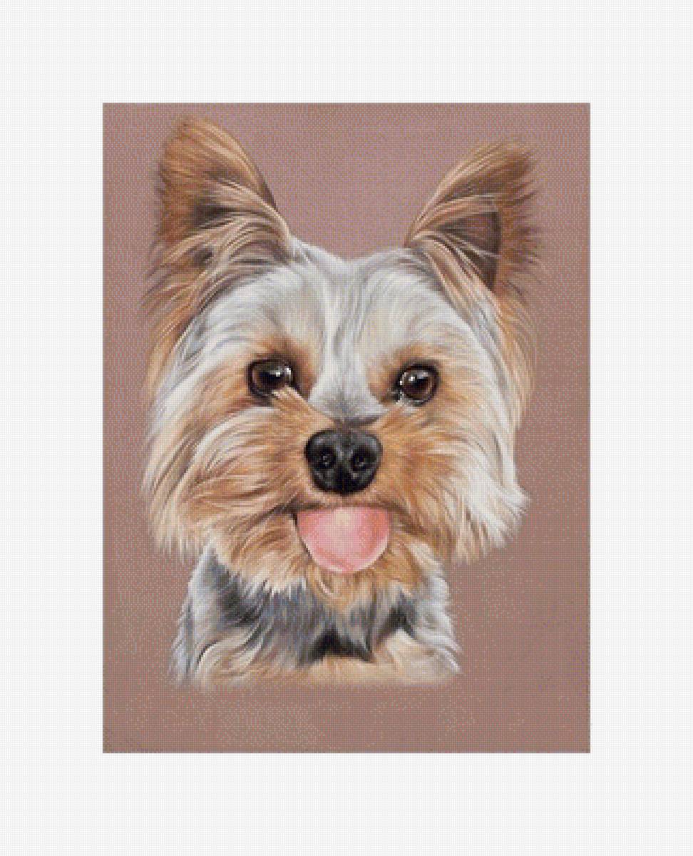 №1935086 - предпросмотр