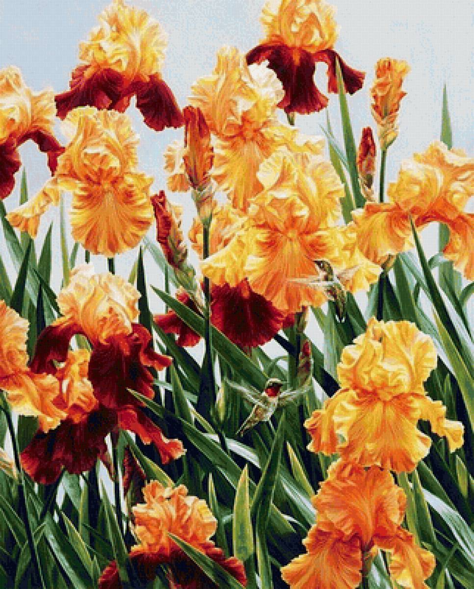 цветы - предпросмотр