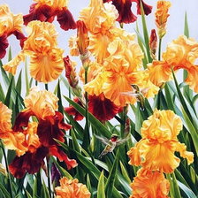 Схема вышивки «цветы»