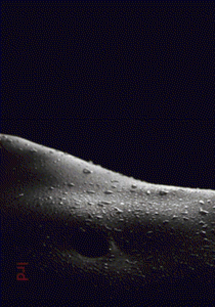 Siluett - предпросмотр