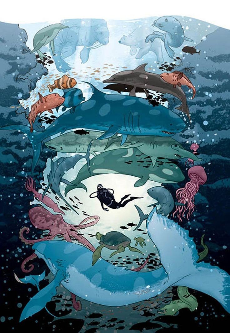 Океан - рыбы, подводный мир, кит, акула - оригинал