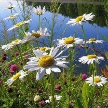 Схема вышивки «ПЕЙЗАЖ»