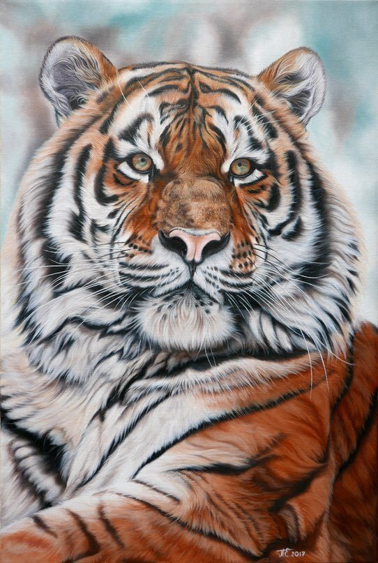Тигр. Художник Перепелятник Екатерина - кошки, художник, животное - оригинал