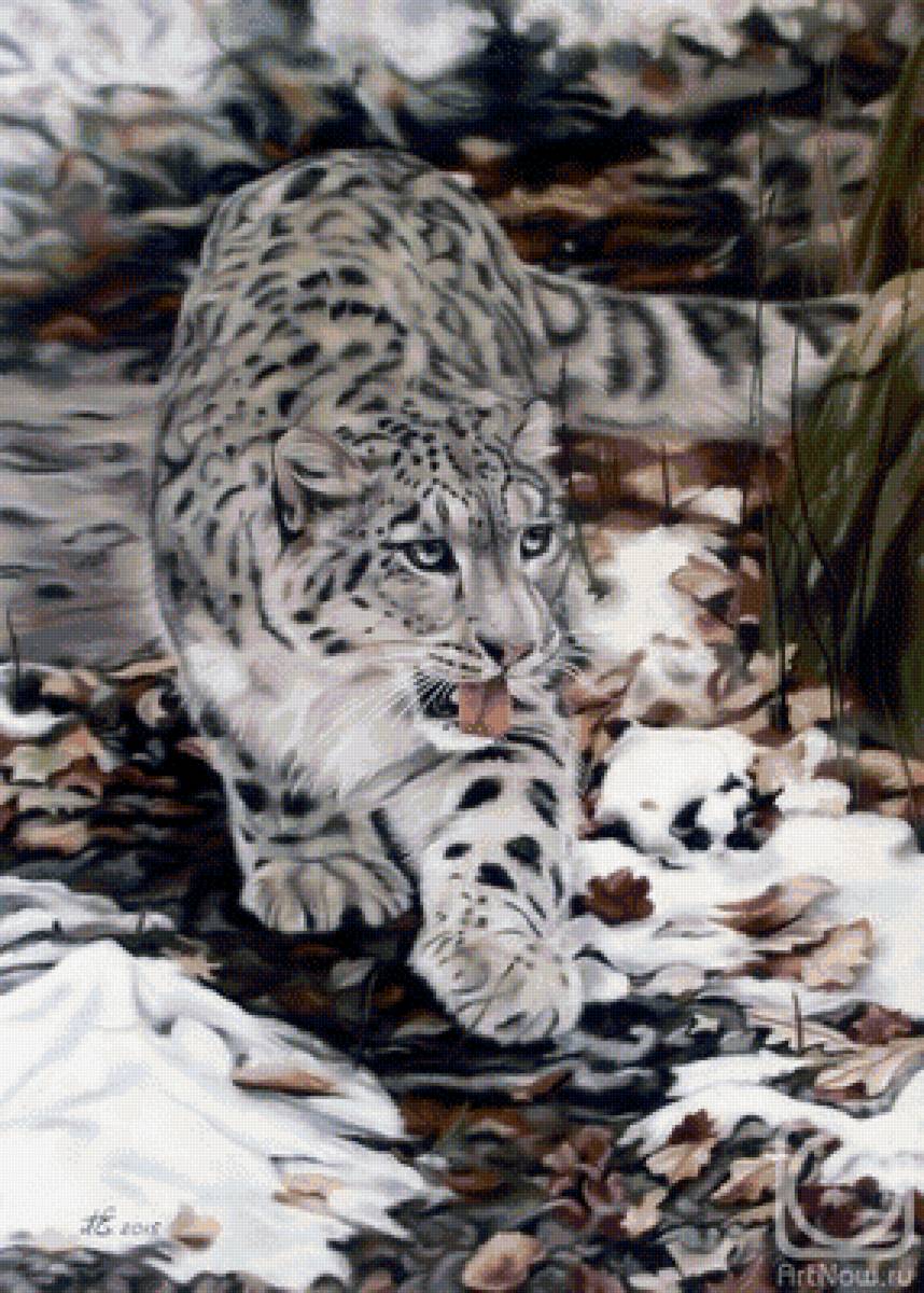 Снежный барс. Художник Перепелятник Екатерина - животное, художник, кошки - предпросмотр