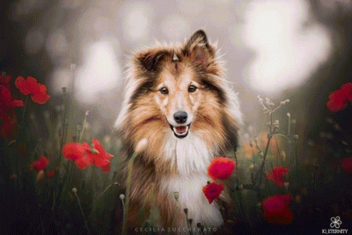 Друг - животные, собаки - предпросмотр