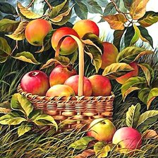 Схема вышивки «ЯБЛОЧКИ»