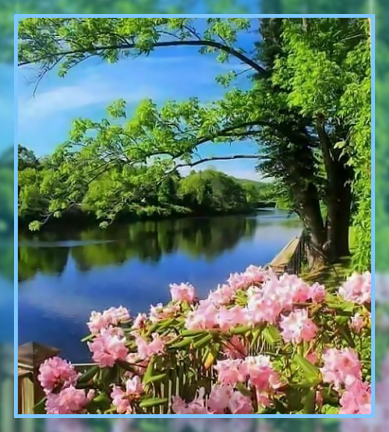 Пейзаж у реки. - цветы, пейзаж, небо, лето, река. - оригинал