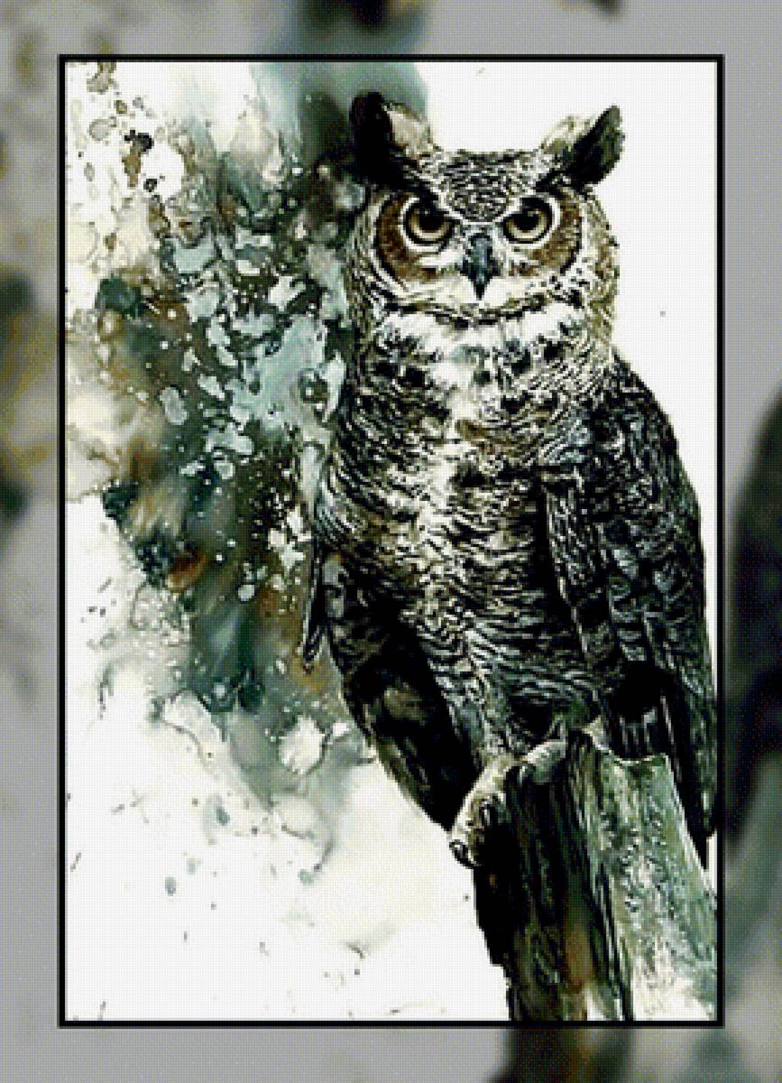 Сова. - картина, акварель., птица, сова - предпросмотр
