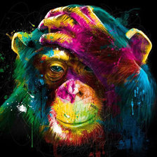 scimmia color