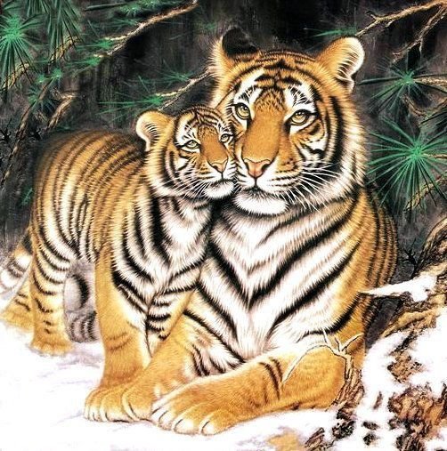 №1935945 - тигры, хищники, животные, тигр - оригинал
