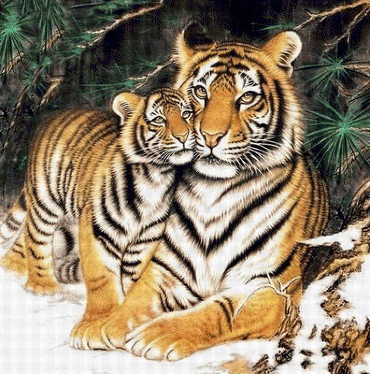 №1935945 - хищники, животные, тигры, тигр - предпросмотр