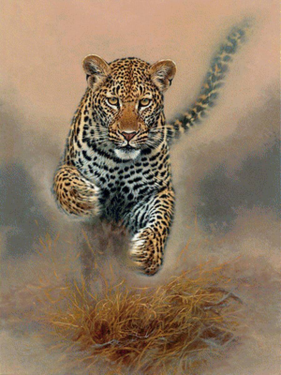 №1935950 - хищники, животные - предпросмотр