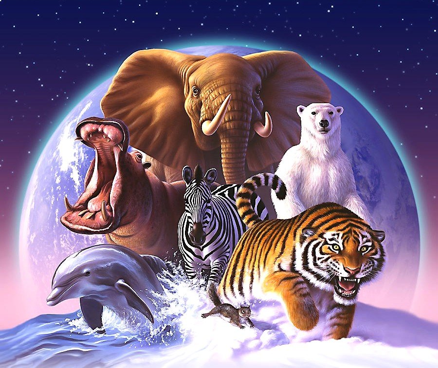 мир животных - мир животных - оригинал