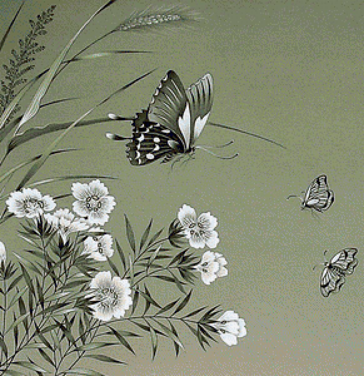 цветы и  бабочка - бабочка, цветы - предпросмотр