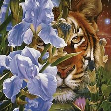 Схема вышивки «тигр»