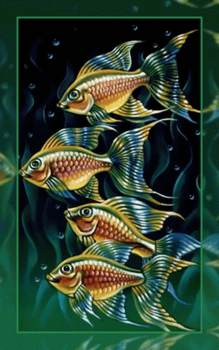Рыбки. - цветные., рыбка - предпросмотр