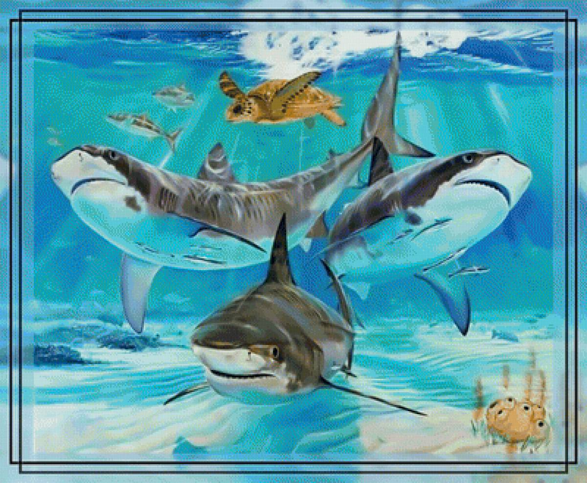 Акулы. Подводный мир. - мир., акулы, подводный, черепаха - предпросмотр