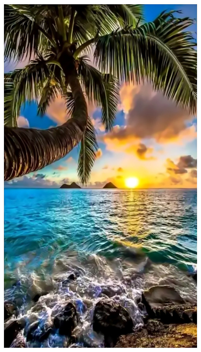 Морской закат. - пальма., море, солнце, закат, пейзаж - оригинал