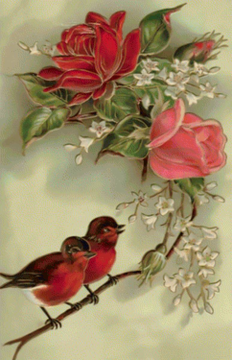 Птички на розе. - птички, розы, винтаж. - предпросмотр