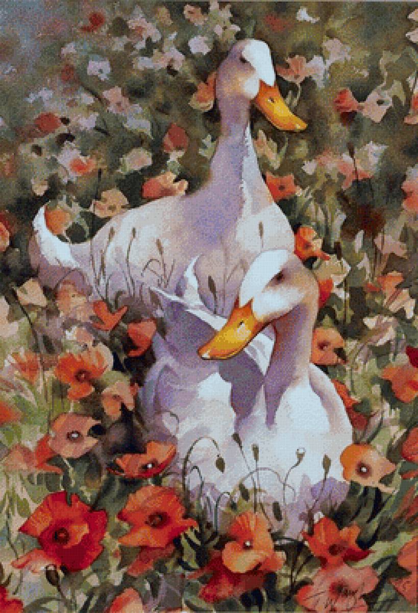 гуси - гуси, утки - предпросмотр