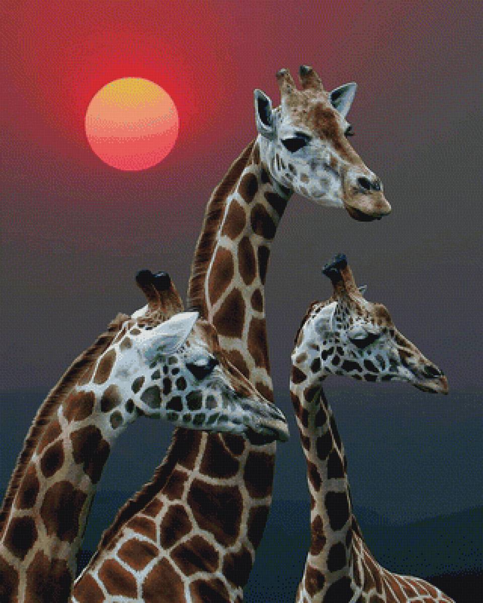 животные - предпросмотр