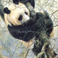 Оригинал схемы вышивки «дикие» (№1937021)