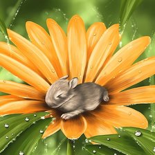 Схема вышивки «№1937081»