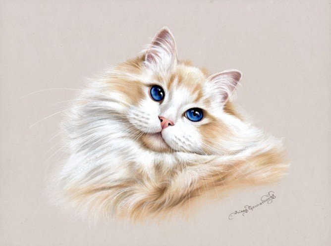 Sapphire Eyes. - irina garmashova paintings.animals. - оригинал